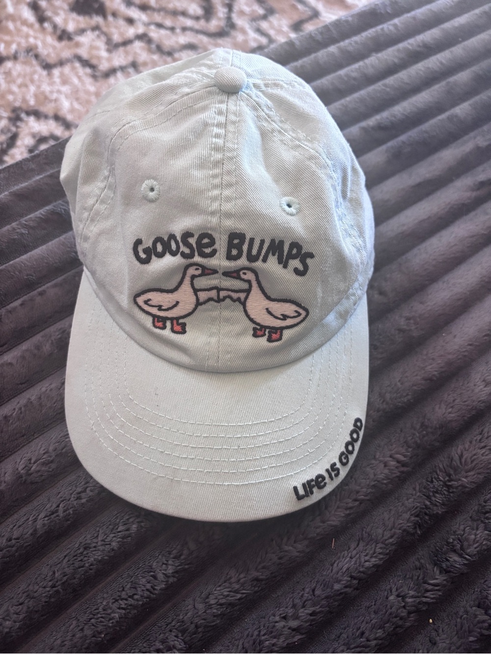 Life is Good Goose Bumps Kids Light Blue Cap with Graphic
